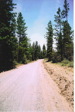 featured property