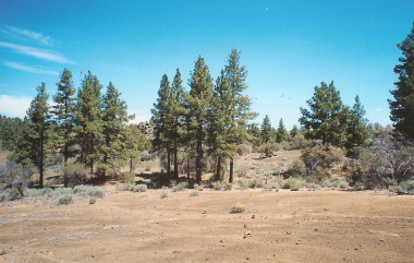 listings