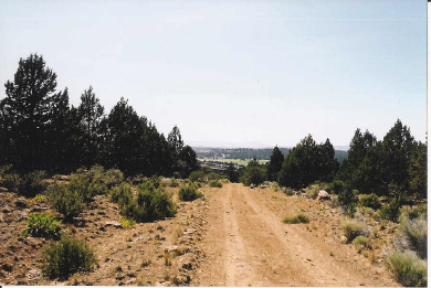 listings