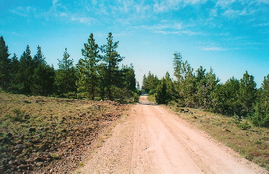 large image