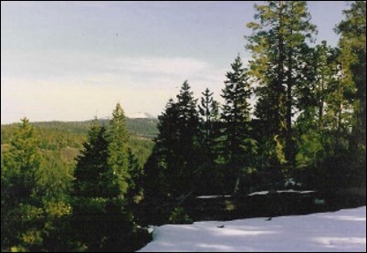 large image