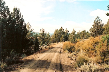 large image