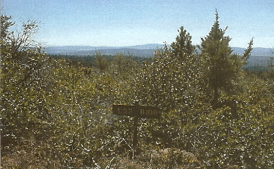 listings