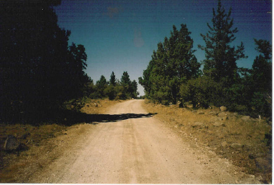 large image