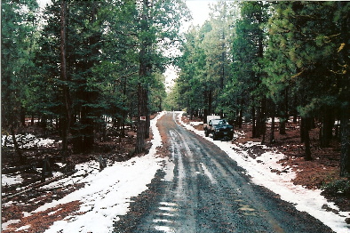 large image