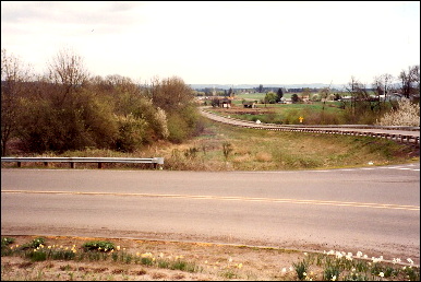 large image