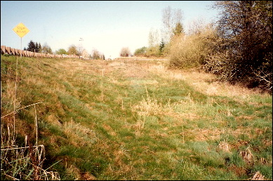 large image