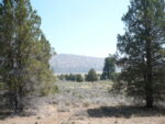 northern california land for sale